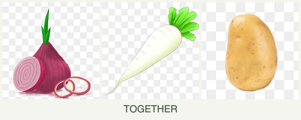 Can you plant onions, radishes and potatoes together?
