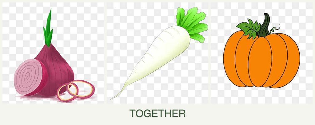 Can you plant onions, radishes and pumpkin together?