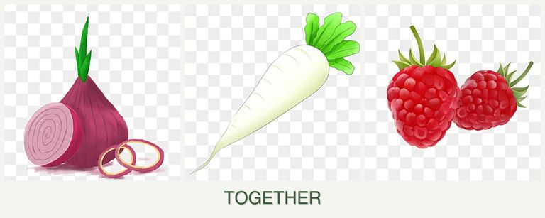 Can you plant onions, radishes and raspberries together?