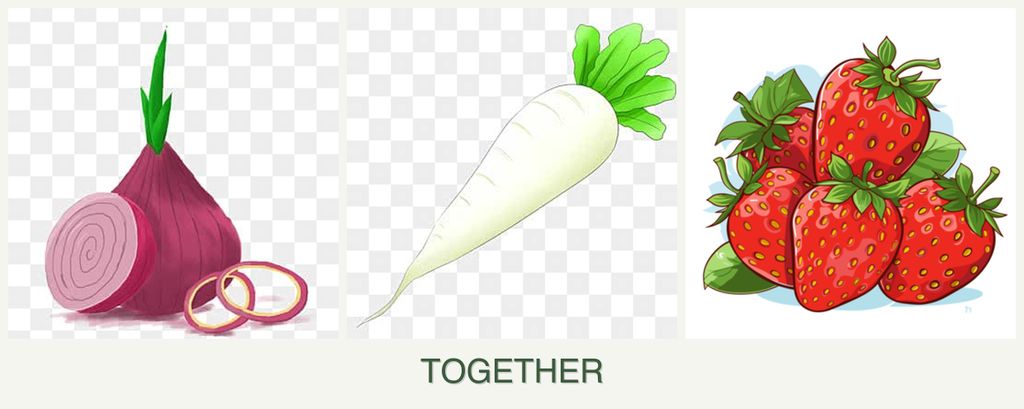 Can you plant onions, radishes and strawberries together?