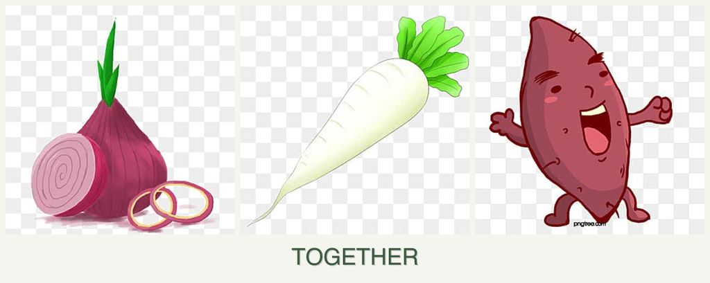 Can you plant onions, radishes and sweet potatoes together?