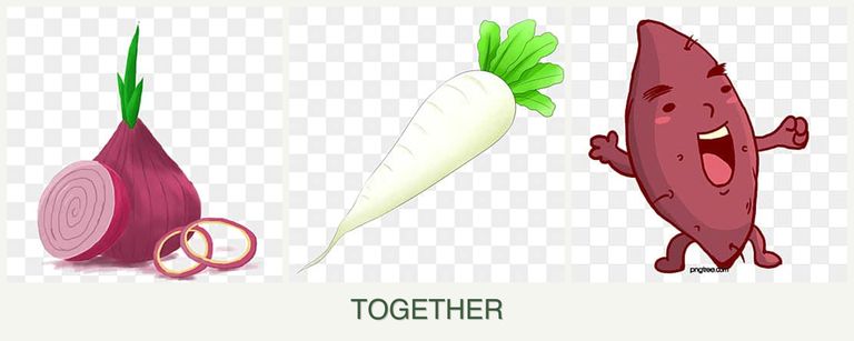 Can you plant onions, radishes and sweet potatoes together?