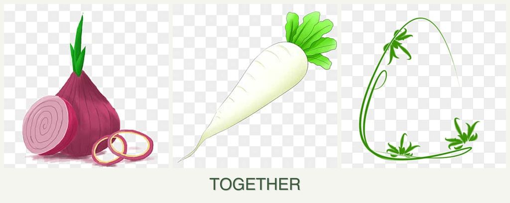 Can you plant onions, radishes and tarragon together?