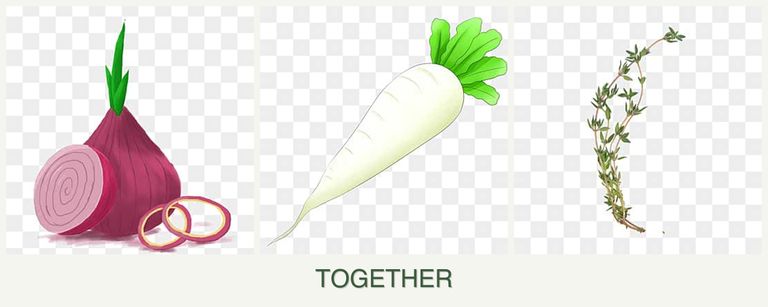 Can you plant onions, radishes and thyme together?