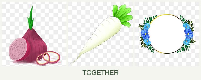 Can you plant onions, radishes and zinnias together?