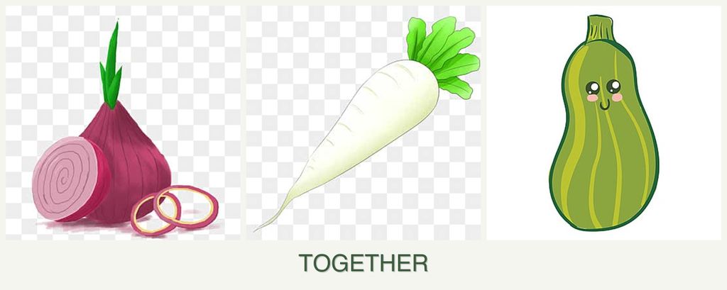 Can you plant onions, radishes and zucchini together?