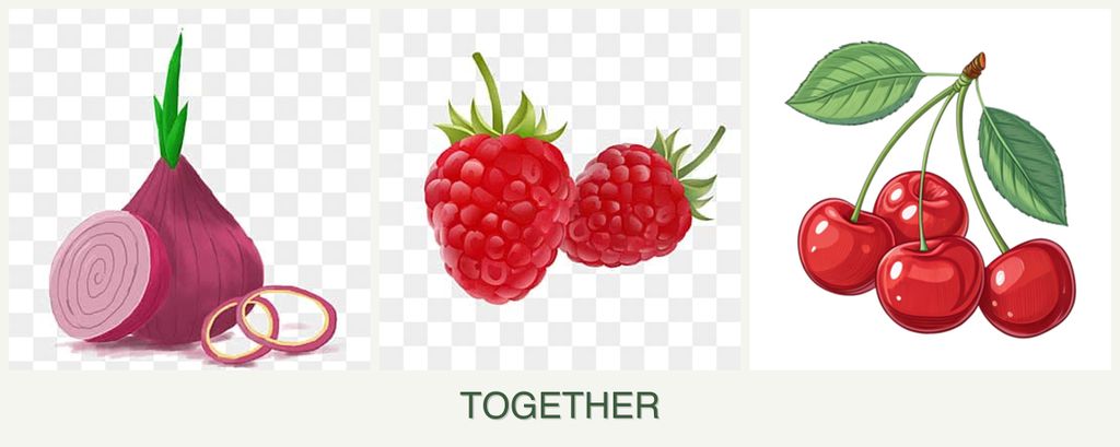 Can you plant onions, raspberries and cherries together?
