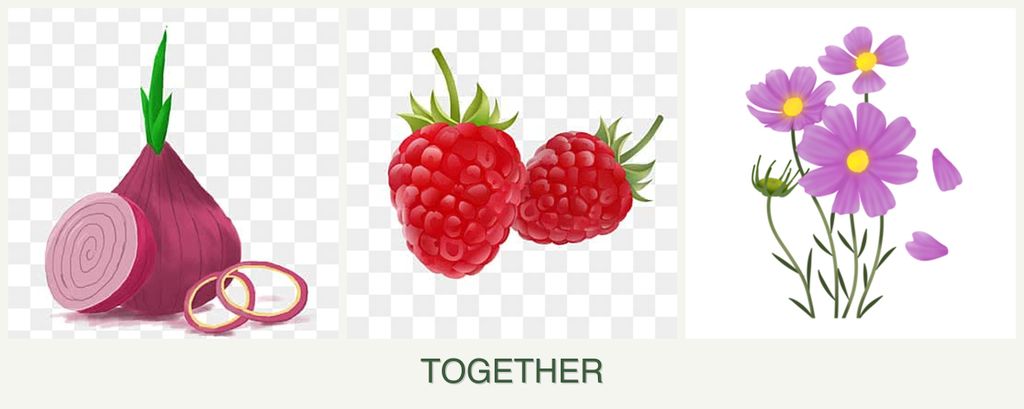 Can you plant onions, raspberries and cosmos together?