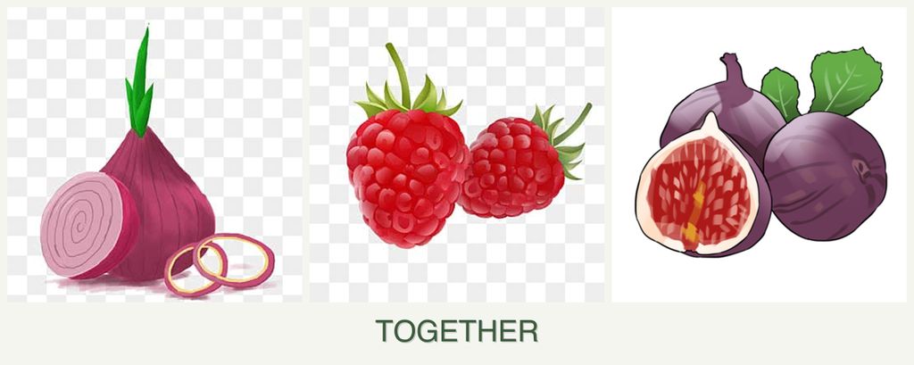 Can you plant onions, raspberries and figs together?