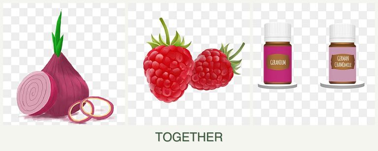 Can you plant onions, raspberries and geraniums together?