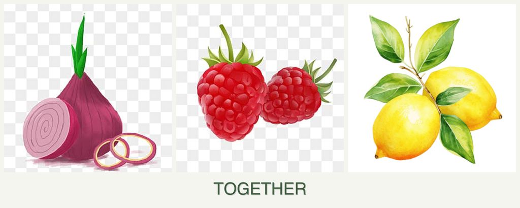 Can you plant onions, raspberries and lemons together?