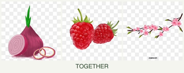 Can you plant onions, raspberries and peaches together?