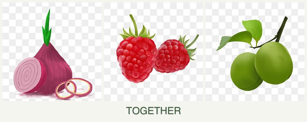 Can you plant onions, raspberries and plums together?