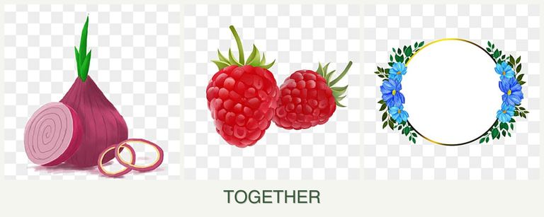 Can you plant onions, raspberries and zinnias together?