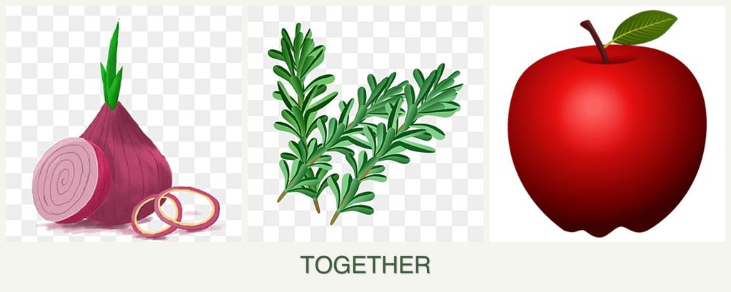Can you plant onions, rosemary and apples together?