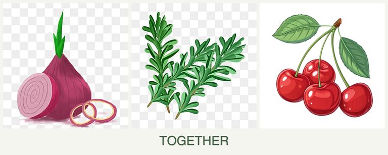 Can you plant onions, rosemary and cherries together?