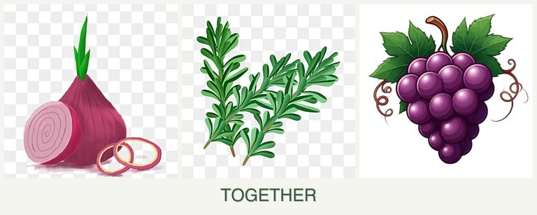Can you plant onions, rosemary and grapes together?
