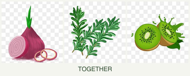 Can you plant onions, rosemary and kiwi together?