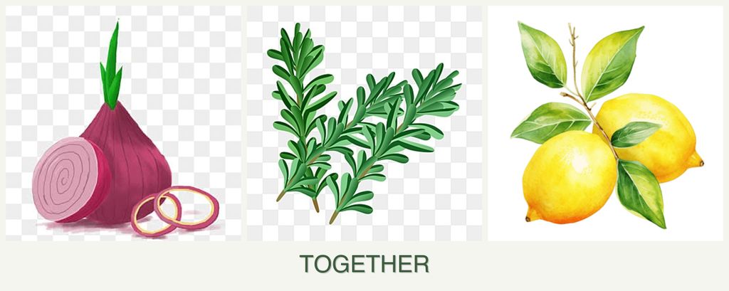 Can you plant onions, rosemary and lemons together?