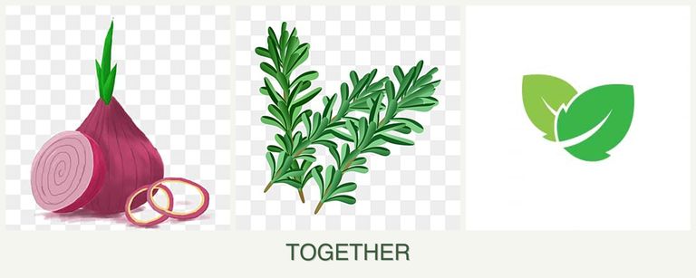 Can you plant onions, rosemary and mint together?