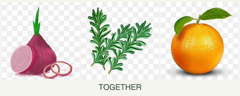 Can you plant onions, rosemary and oranges together?