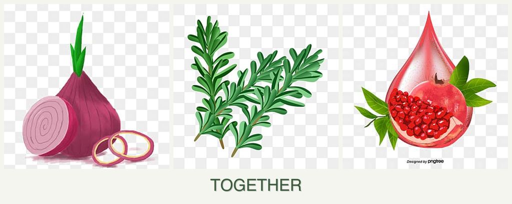 Can you plant onions, rosemary and pomegranates together?