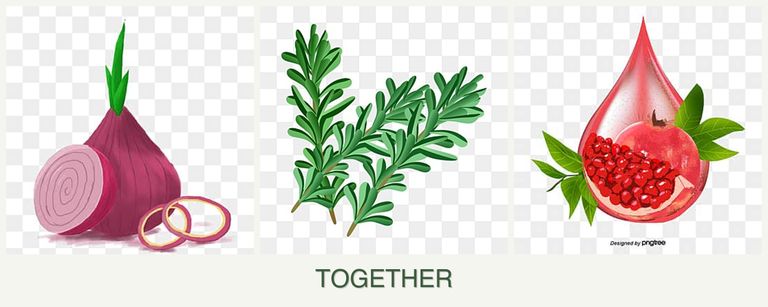 Can you plant onions, rosemary and pomegranates together?