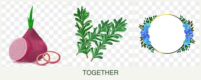 Can you plant onions, rosemary and zinnias together?