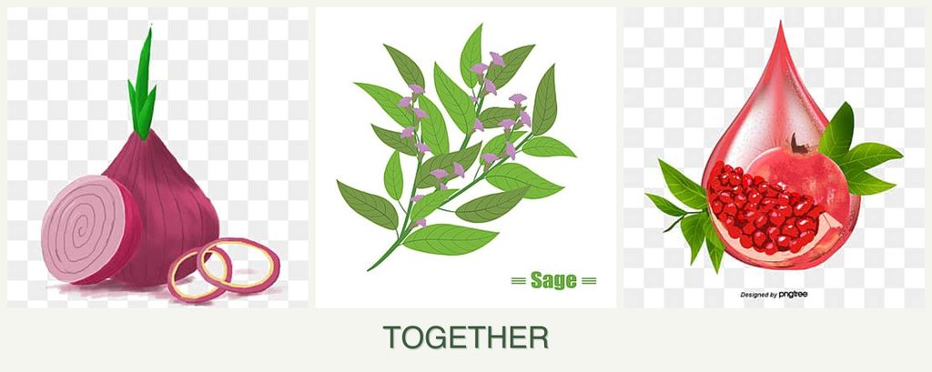 Can you plant onions, sage and pomegranates together?