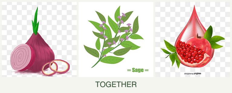 Can you plant onions, sage and pomegranates together?