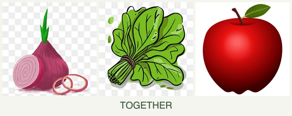 Can you plant onions, spinach and apples together?