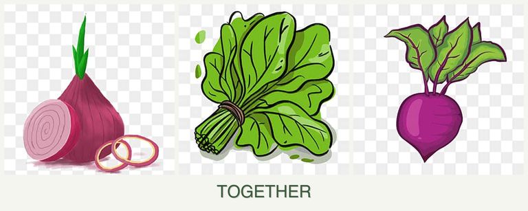 Can you plant onions, spinach and beets together?