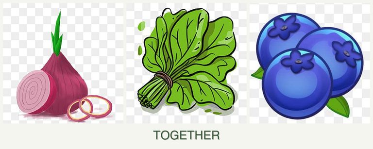 Can you plant onions, spinach and blueberries together?