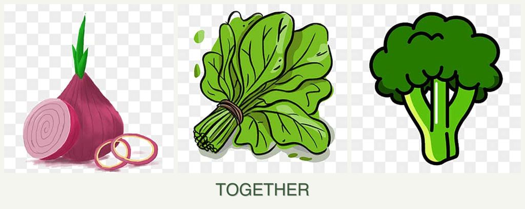 Can you plant onions, spinach and broccoli together?
