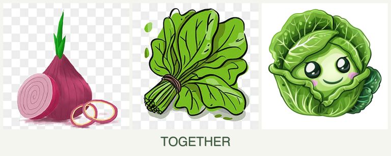 Can you plant onions, spinach and cabbage together?