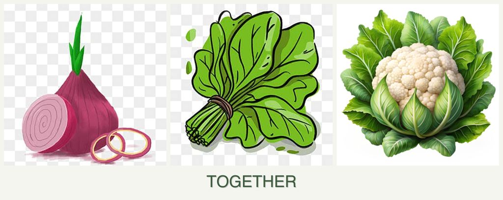 Can you plant onions, spinach and cauliflower together?