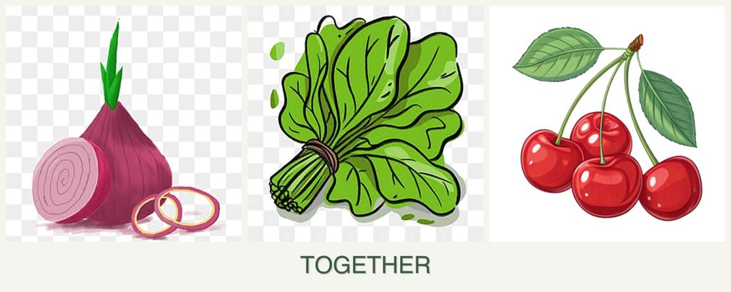 Can you plant onions, spinach and cherries together?