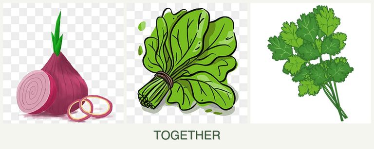 Can you plant onions, spinach and cilantro together?