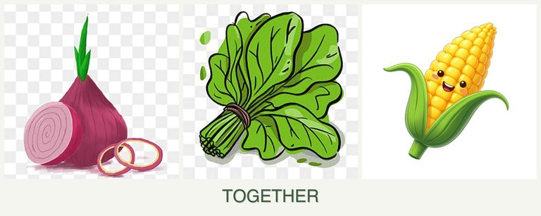 Can you plant onions, spinach and corn together?
