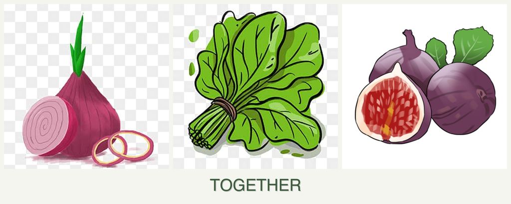 Can you plant onions, spinach and figs together?