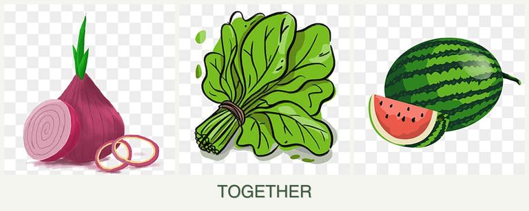 Can you plant onions, spinach and melons together?