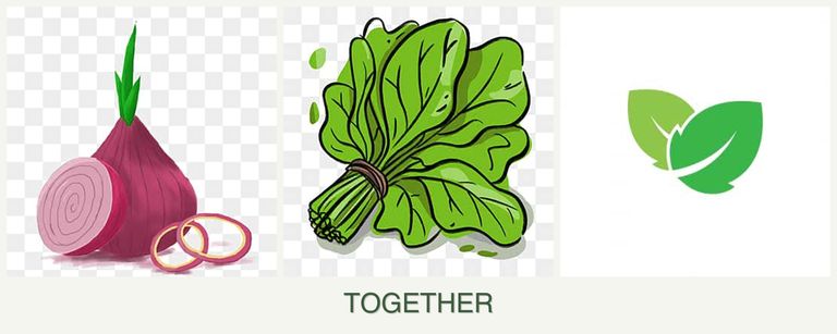 Can you plant onions, spinach and mint together?