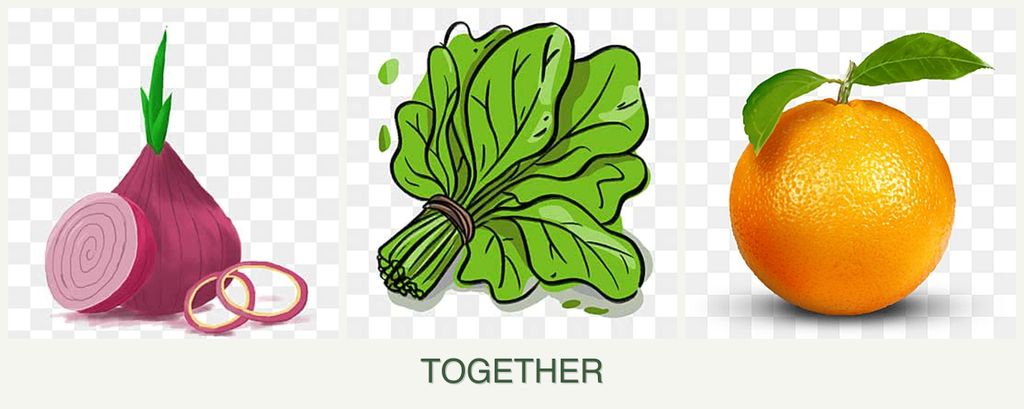 Can you plant onions, spinach and oranges together?