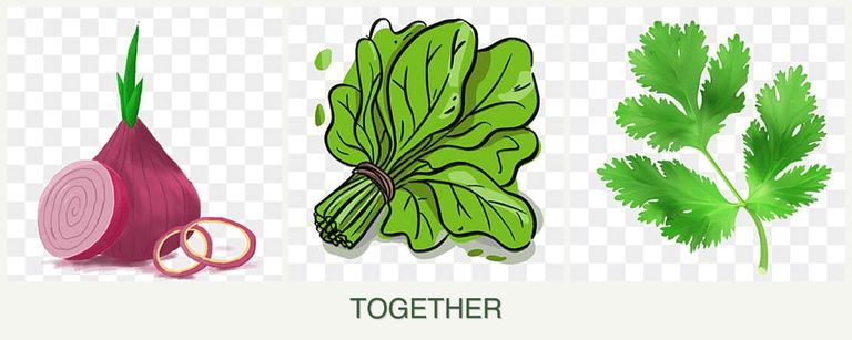 Can you plant onions, spinach and parsley together?