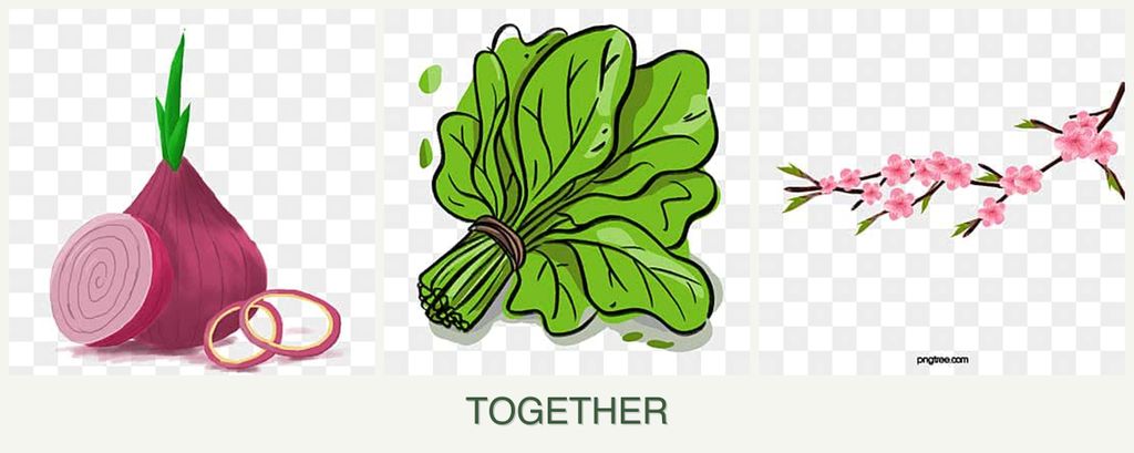 Can you plant onions, spinach and peaches together?
