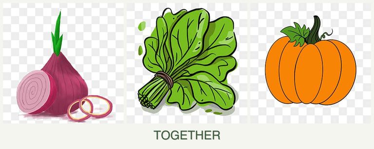 Can you plant onions, spinach and pumpkin together?