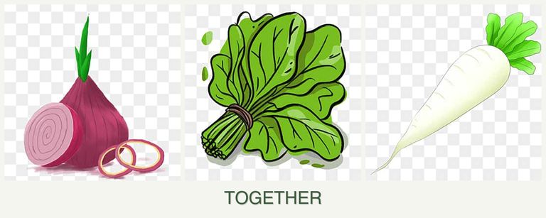 Can you plant onions, spinach and radishes together?