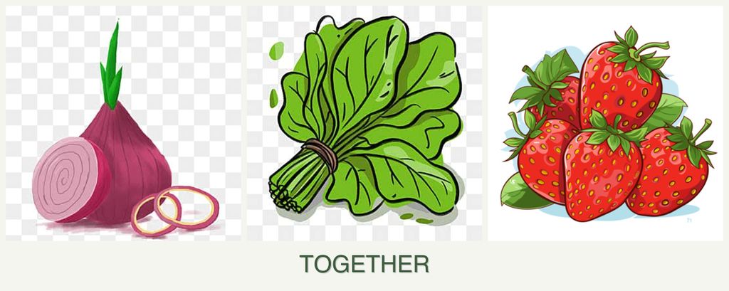 Can you plant onions, spinach and strawberries together?
