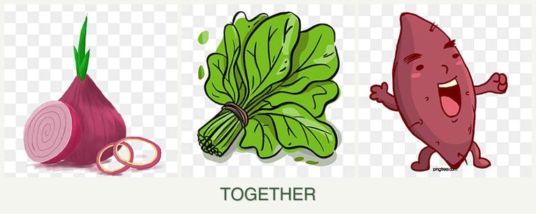 Can you plant onions, spinach and sweet potatoes together?