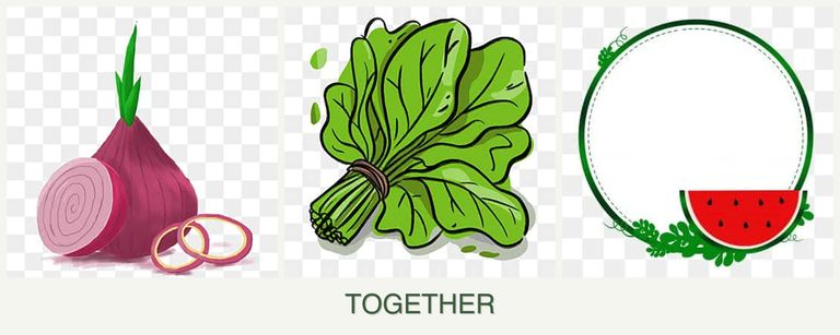 Can you plant onions, spinach and watermelons together?